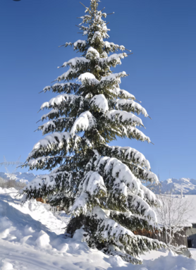 Capture d’écran 2025-11-30 à 15.29.24.png