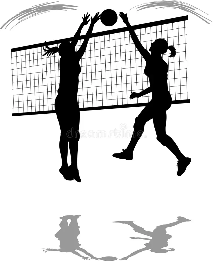 image volley.webp